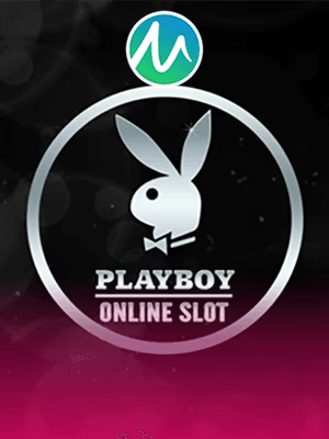 Tampilan live casinos online - slot Indonesia